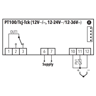Digitális termosztát Eliwell IC Plus 902 PT100 12/24V